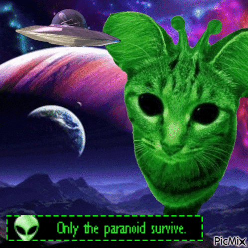 Alien cat — only the paranoid survive