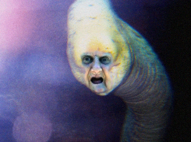 WAT eel